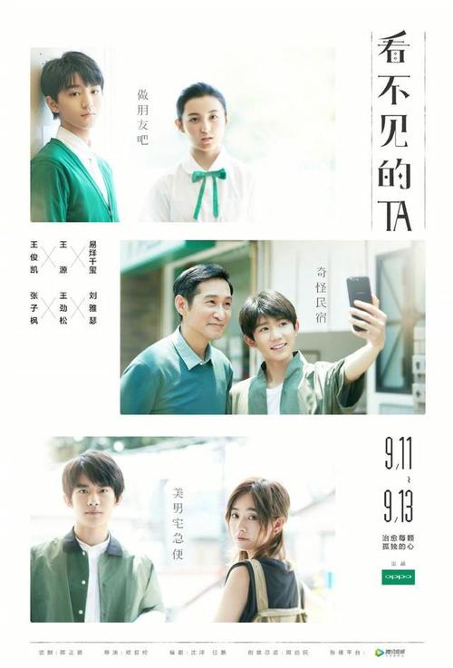 南爱达荷技术学院电子工程学位证书